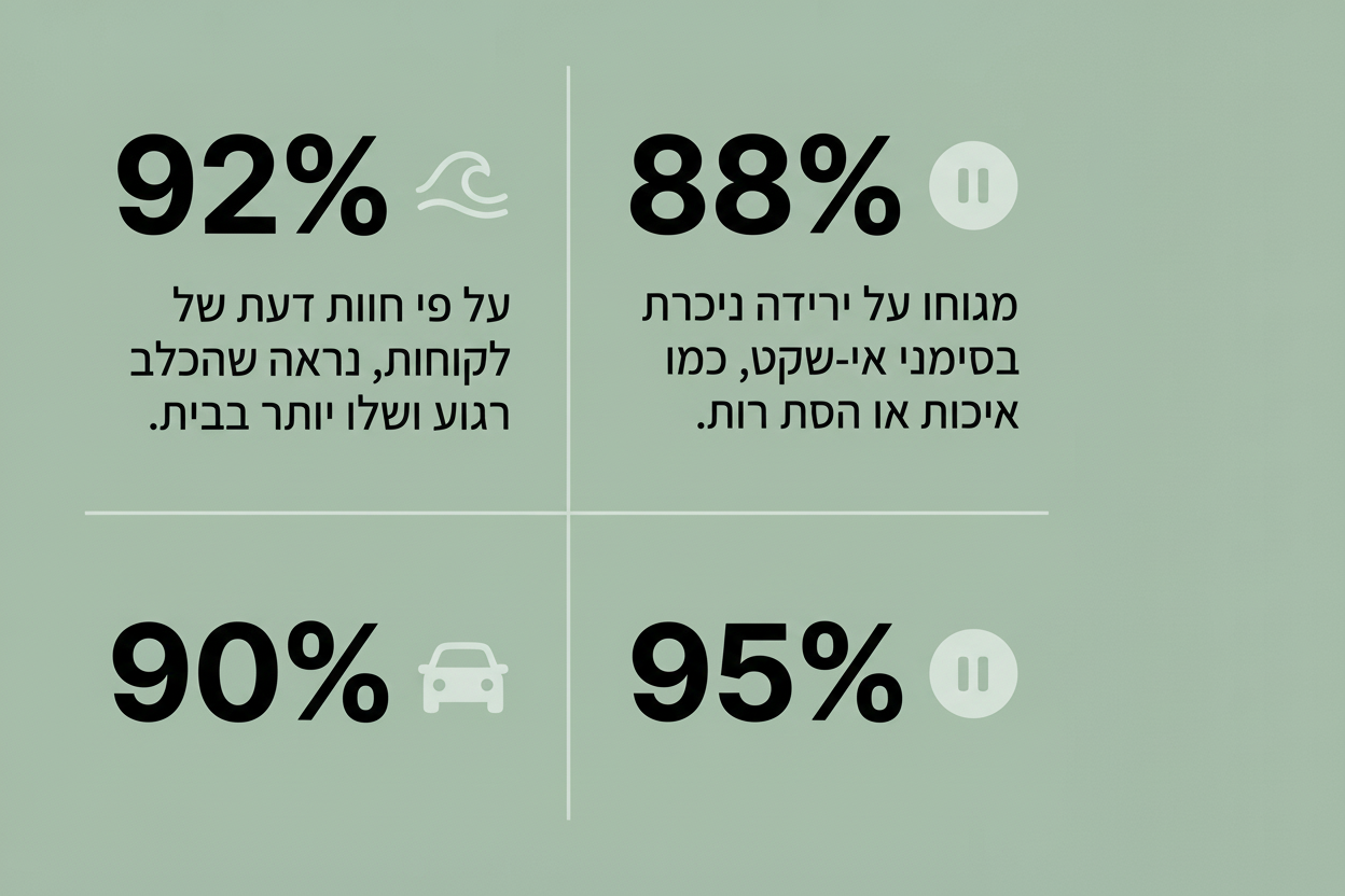 קולר מרגיע לכלבים.
