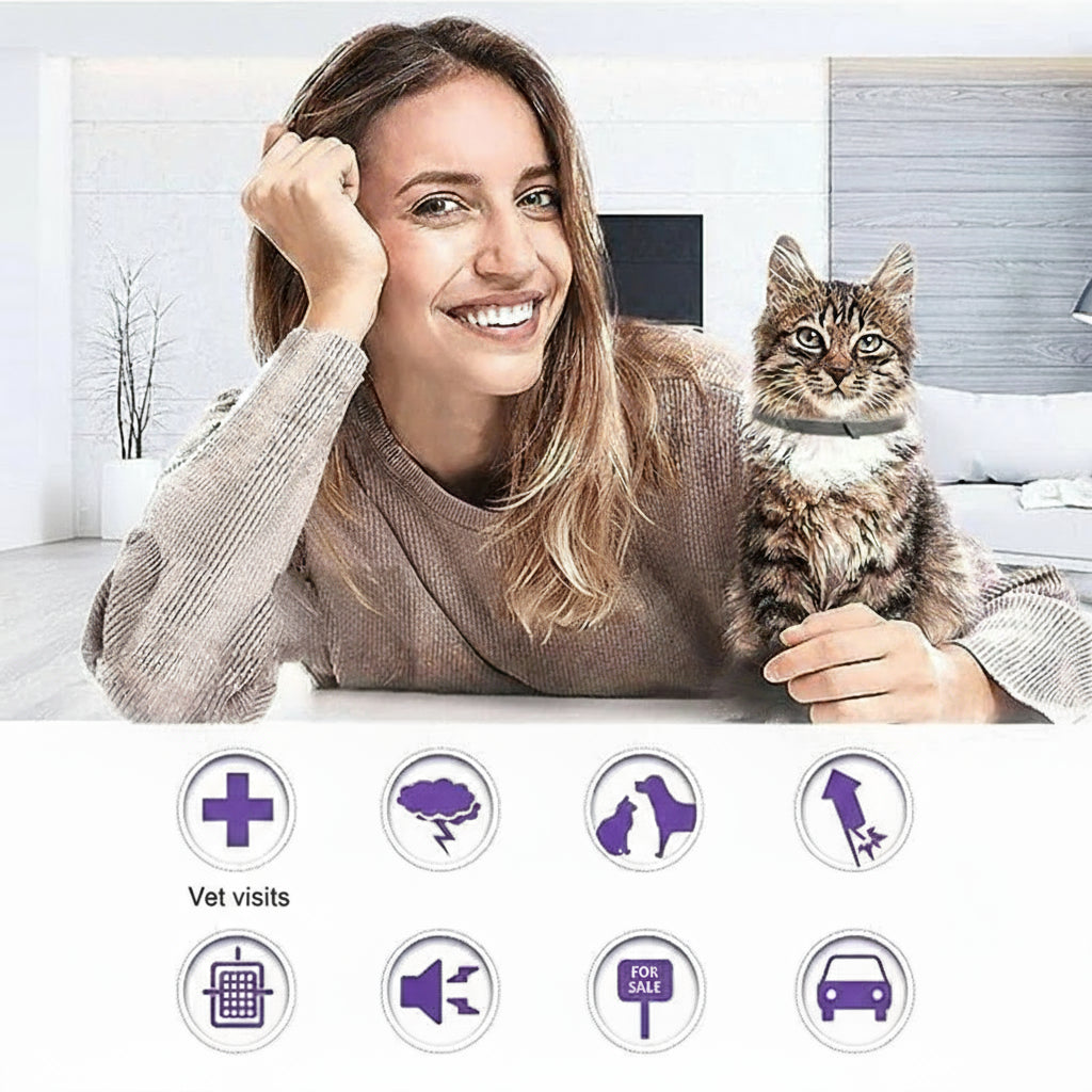 🐾 הקולר שעוזר לחיות בישראל לחזור לשקט שלהן