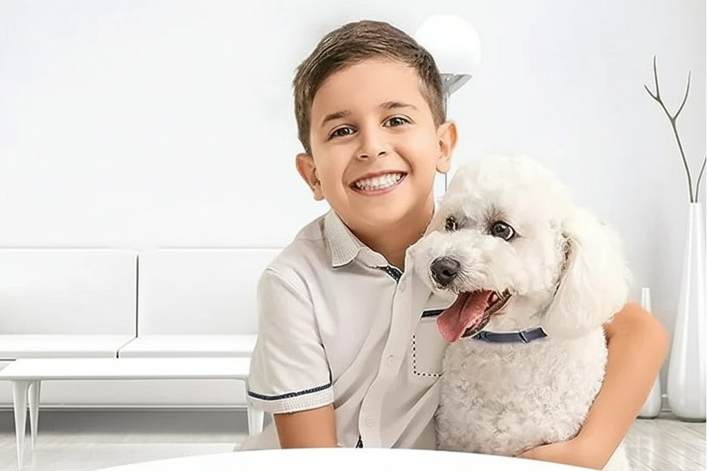 🐾 הקולר שעוזר לחיות בישראל לחזור לשקט שלהן