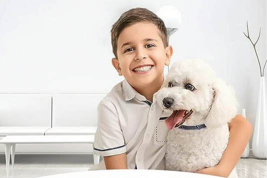 🐾 הקולר שעוזר לחיות בישראל לחזור לשקט שלהן