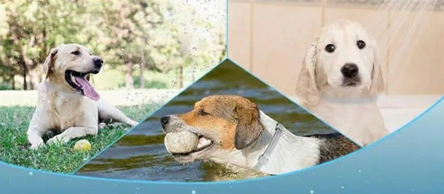 🐾 הקולר שעוזר לחיות בישראל לחזור לשקט שלהן